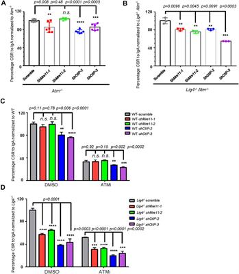 Multiple DSB Resection Activities Redundantly Promote Alternative End Joining-Mediated Class Switch Recombination